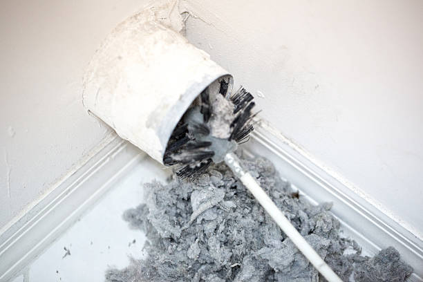 Best Professional Duct Cleaning Services  in Cleveland, TX