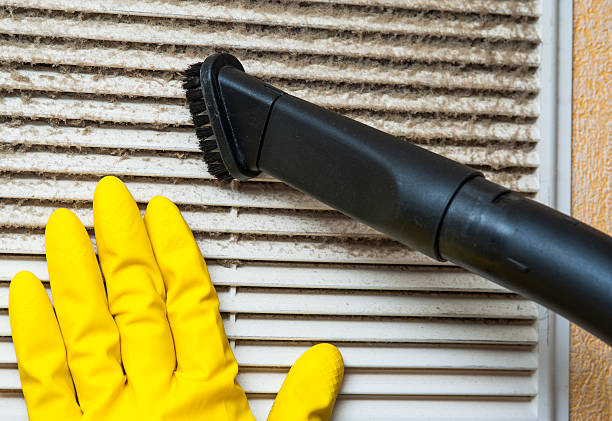 Air Duct Mold Removal in Cleveland, TX